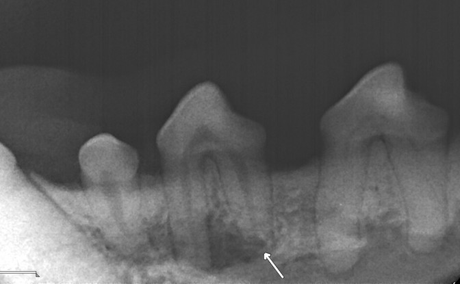 8c400ab73e94d9e1ccfc40d2bbf59f10_1780020776_2567.jpg